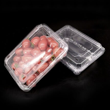 PET Plastic Vegetables & Fruits Packaging Box