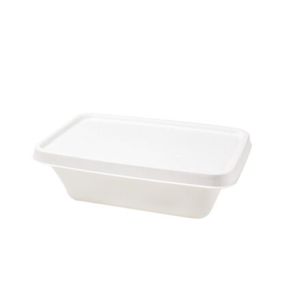Eco-friendly Takeout Food Packaging Container